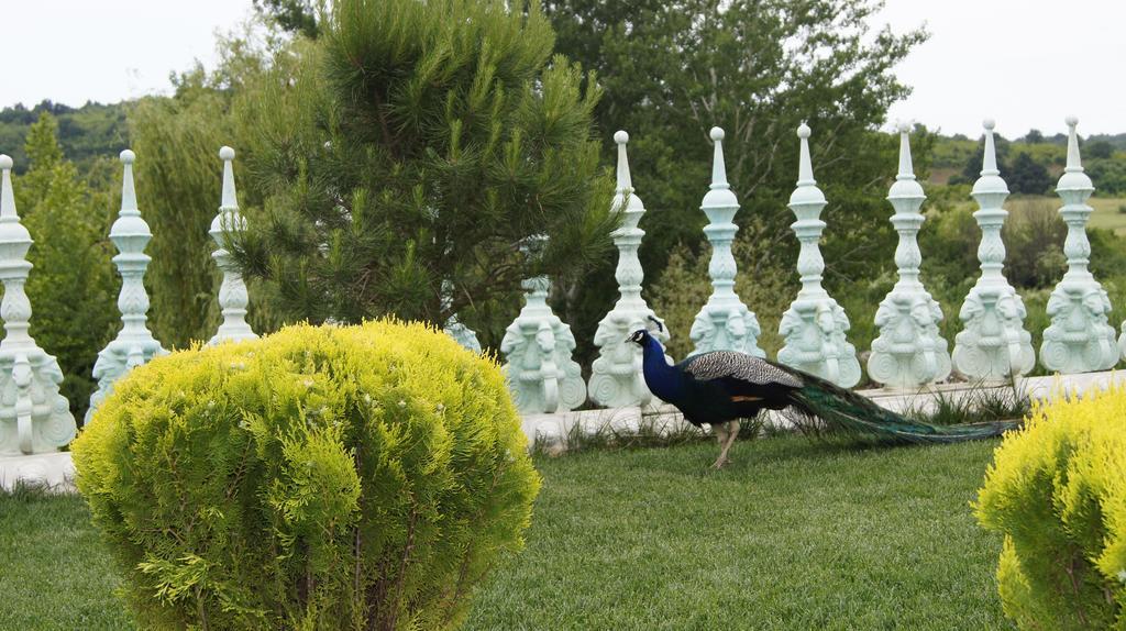 Sozopoli Hills Simeonov Apartments Dış mekan fotoğraf